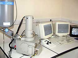 Leo 435VP Scanning Electon Microscope with Oxford Isis 300 EDS